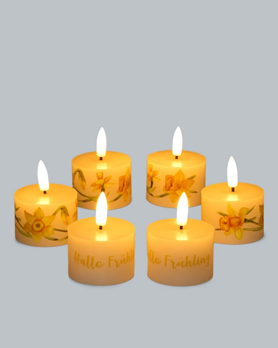 6 LED-Teelichter "Frühling" mit Geschenkbox